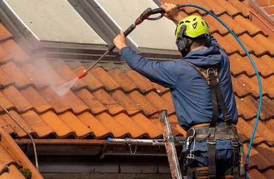 Démoussage et hydrofuge de toiture à Aubignosc
